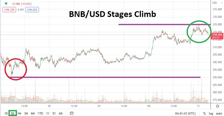 Análisis Técnico de BNB/USD